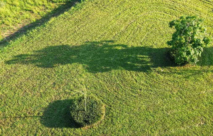 green grass field during daytime